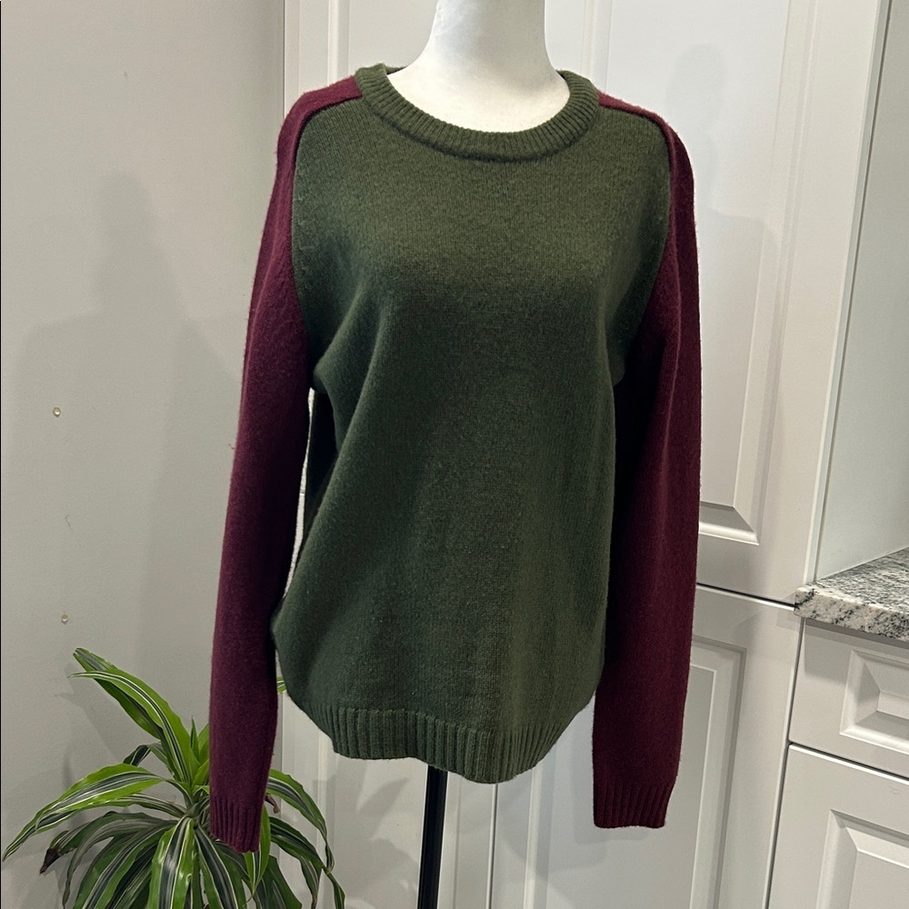 American Eagle Outfitters Green Burgundy Sweater 100% wool winter skating cold